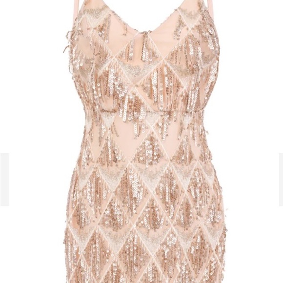 Sequin Fringe Dress - Picture 4 of 6